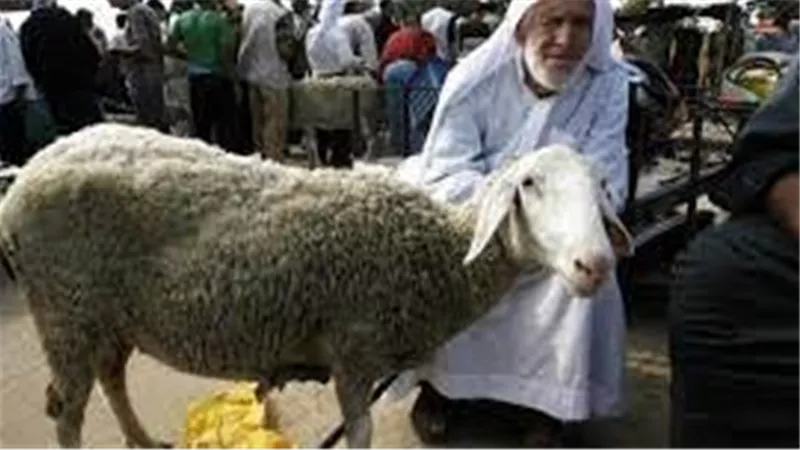 مع استقبال عيد الأضحى.. سكان قطاع غزة لا يريدون مزيدا من الحروب