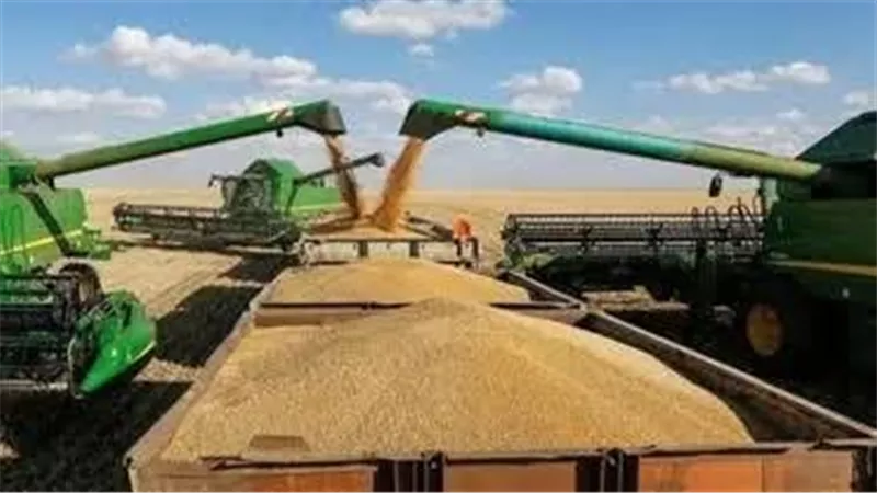بيان حكومي يحسم الجدل.. هل مصر متعثرة في سداد مدفوعات القمح المستورد؟