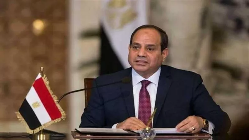 الرئيس السيسي يكشف سبب زيادة سعر اللحمة لـ 300 جنيه
