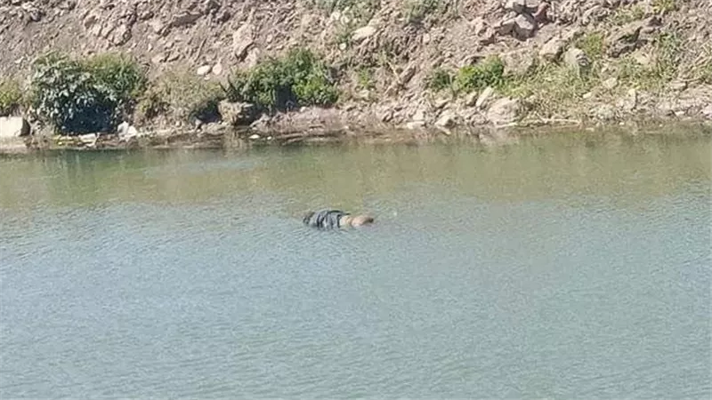 الجاني ابن خاله.. مفاجآت في خنق طفل وإلقاء جثته بترعة بأبو النمرس