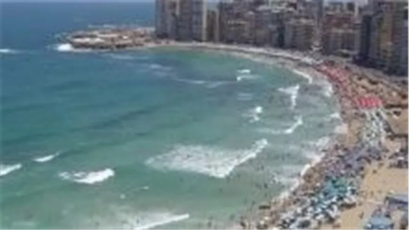 لافتة بالاسكندرية تثير الغضب.. ماذا قالت صاحبتها وكيف رد عليها المواطنون ؟ | شاهد