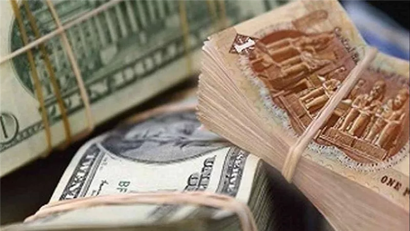 بداية التعاملات..سعر الدولار اليوم الأربعاء 19 يوليو 2023