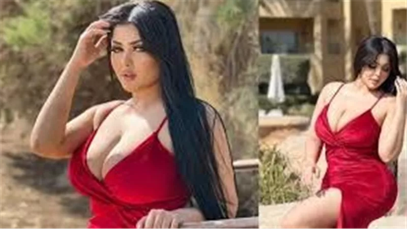 قرار قضائي جديد بشأن دعوى خروج سلمى الشيمي وفتيات التيك توك من الحبس