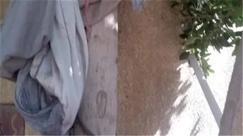 أعمال سحر وشعوذة مدفونة مع الموتى.. صدمة في مقابر الدلجمون بالغربية