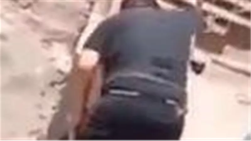 اعتدى على أخته في الشارع.. مفاجأة جديدة بعد فيديو قرية صبحي بالدقهلية 