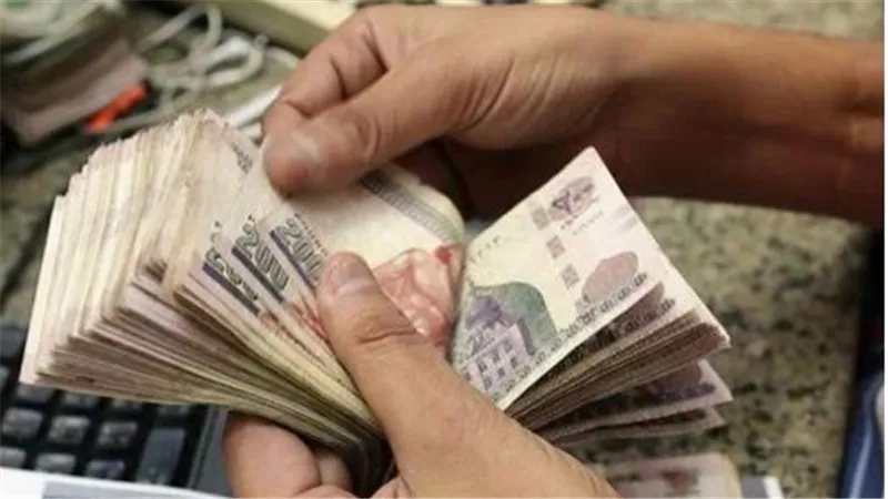 فائدة 25% لمدة عام.. كيف تحصل على أعلى عائد استثمار حاليا؟