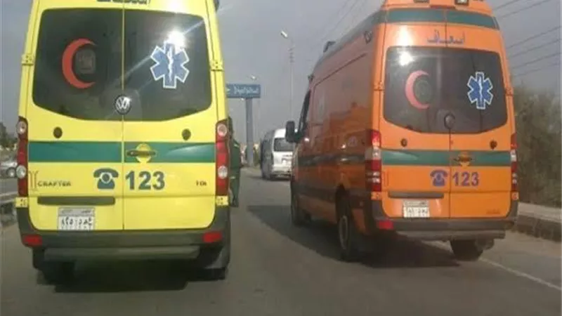 بركة دماء داخل غرفة النوم.. ماذا حدث في واقعة الزوجين المذبوحين في كفر الشيخ؟