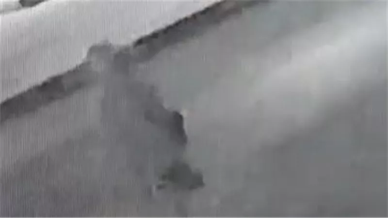فيديو صادم..لحظة إنهاء شاب حياة شقيقته أمام مسجد في بورسعيد | شاهد