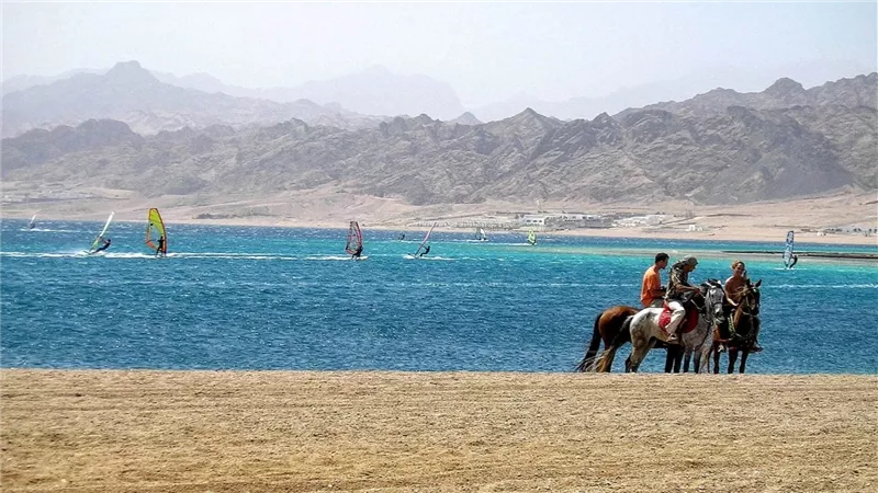 بتر الذراع اليسرى.. تفاصيل التقرير الطبي لهجوم سمكة قرش على سيدة بدهب