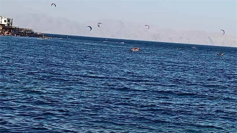 بيان رسمي و13 تحذيرًا.. ماذا حدث في شواطئ دهب بعد هجوم القرش؟