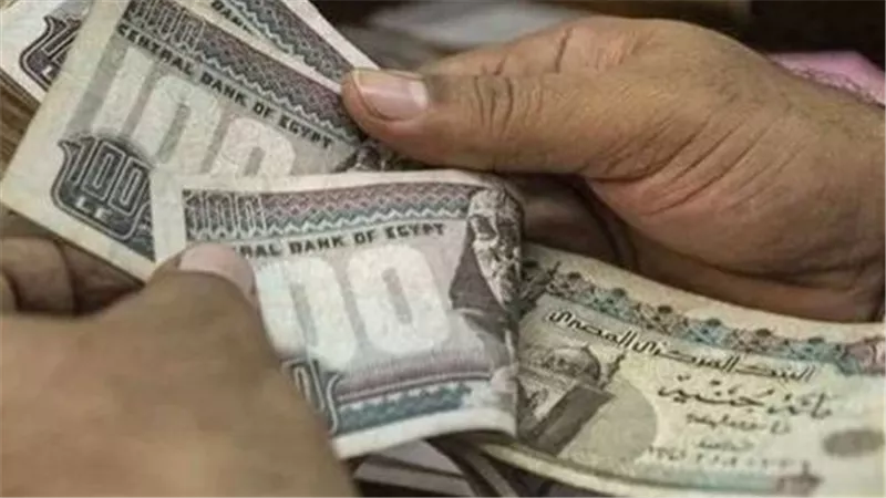 هدية للقطاع الخاص.. موعد تطبيق زيادة المعاشات والمرتبات وطريقة حسابها