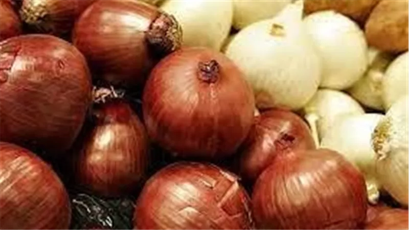 بعد الجدل.. بيان رسمي يكشف حقيقة إلغاء حظر تصدير البصل لمدة 3 أشهر