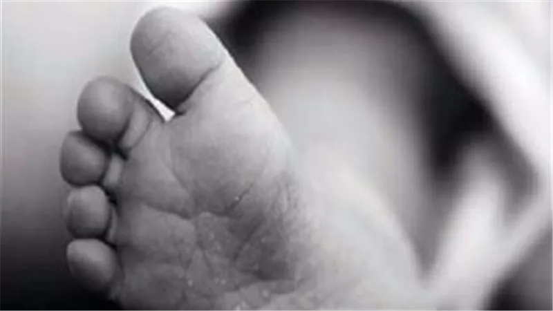 جثة في بيت الجيران.. تفاصيل مثيرة عن مقتل طفل الفاروقية
