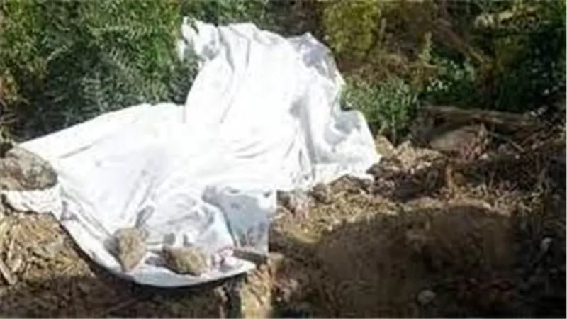 يا يقتلني يا أقتله.. حكاية جريمة قتل في نص الشارع بالطالبية