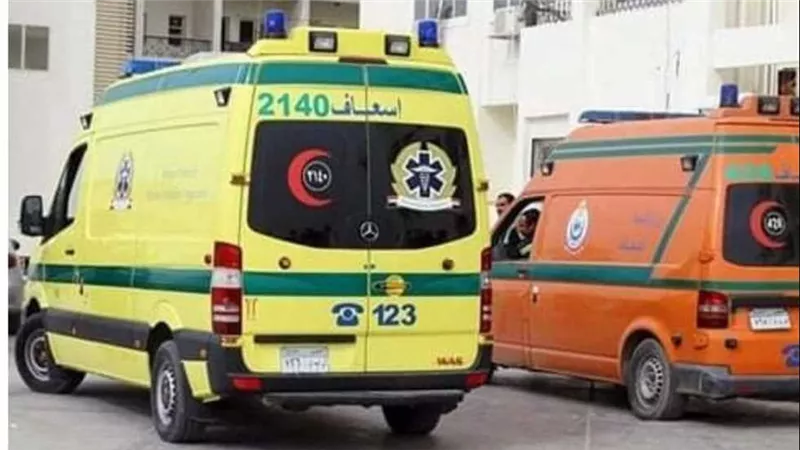 لو قربت من مراتي هقتلك.. سائق يطعن شابا وسط الشارع في إمبابة