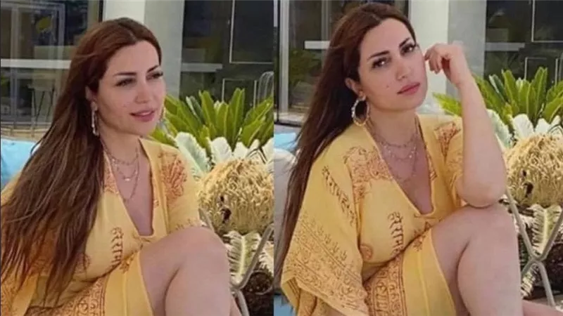 شيك بـ 4 مليون.. قرار عاجل من المحكمة بشأن نسرين طافش 