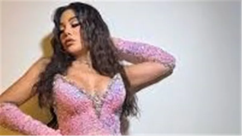 جمبسوت.. ملابس هيفاء وهبي في أحدث ظهور تثير ضجة | شاهد
