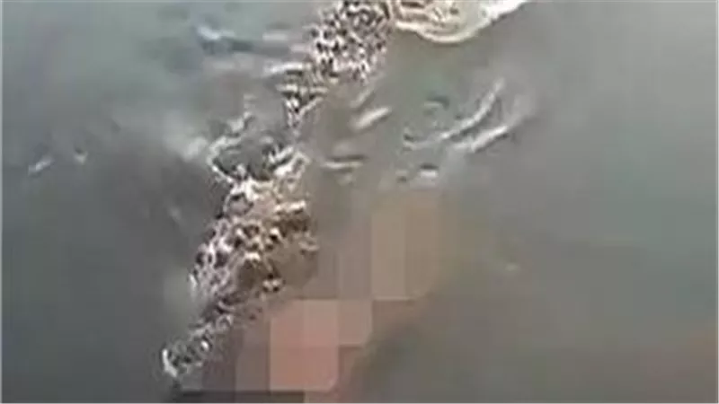 تمساح ولا نداهة؟.. جسم غريب يثير الجدل بترعة الجعفرية