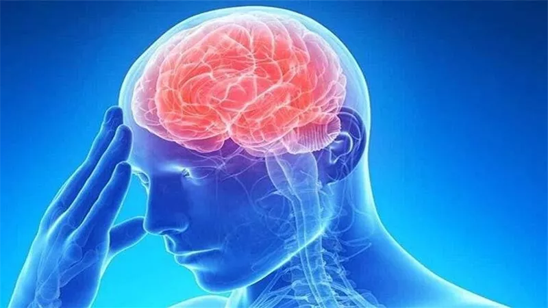 احذر.. طبيبة تحدد الأطعمة الأكثر ضررا بالدماغ