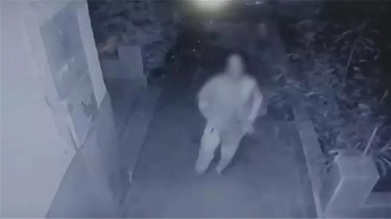 فيديو مرعب وبيان رسمي.. القصة الكاملة لسفاحة الشيخ زايد المزعومة