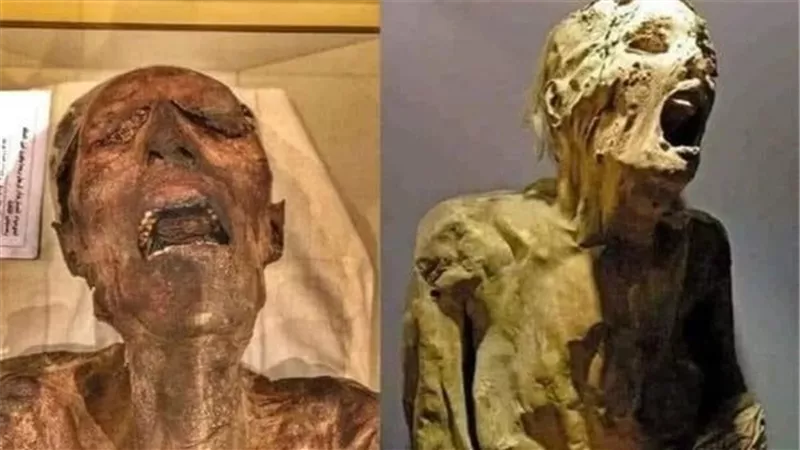 سحر أسود ومؤامرة حريم.. قصص المومياوات الصارخة في مصر القديمة