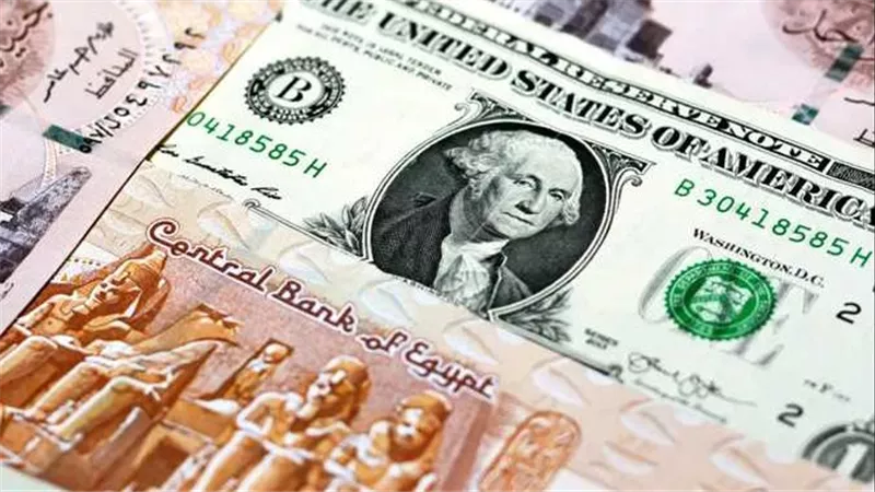 الحكومة توضح.. كم سيكون سعر الدولار مقابل الجنيه في 2024 وفقًا لوثيقة مجلس الوزراء؟ | فيديو