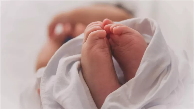 كلب أنقذ حياته.. تفاصيل العثور على طفل عمره يوم بأرض مهجورة بالقليوبية