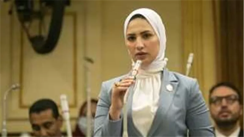 تمثل محافظة أسيوط وحزب الوفد.. من هي النائبة المتهمة بالغش في جامعة جنوب الوادي؟