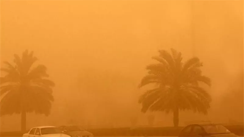 شبورة ورياح مثيرة للرمال والأتربة.. الأرصاد تحذر من حالة الطقس غدا الثلاثاء 16-1-2024