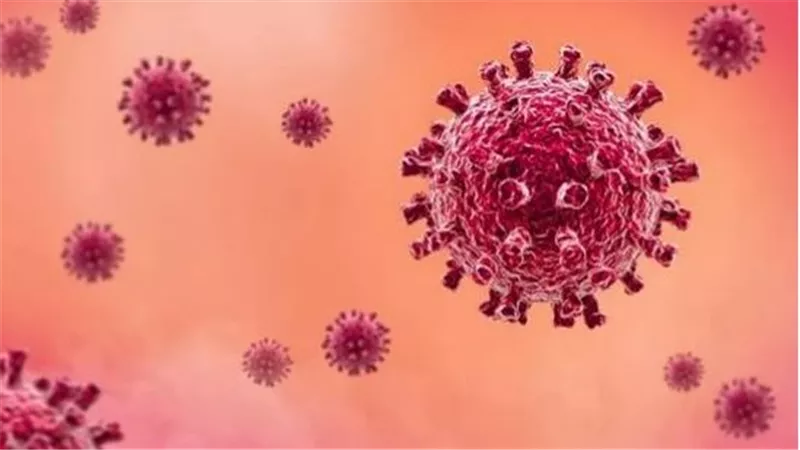 ما القصة؟.. تجارب صينية تؤدي لانتشار فيروس جديد