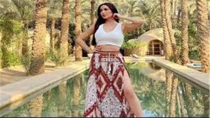 فستان مجسم.. نسرين طافش تخطف الأنظار بإطلالة مثيرة | شاهد