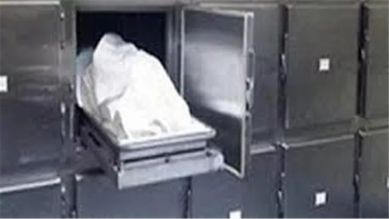 قطعوا جسمه.. سيدة تكشف تفاصيل صادمة عن مقتل زوجها بالإسكندرية