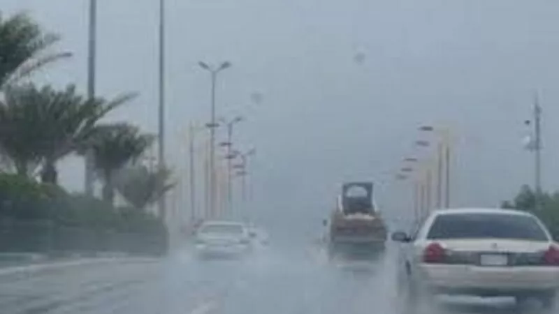رياح وبرودة وأمطار.. الأرصاد تحذر من حالة الطقس غدا الأربعاء 31-1-2024