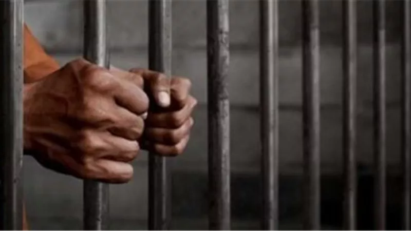 حرب الجنازير.. تفاصيل الحكم على أب وابنه متهمين بضرب سيدة وشاب في الشرقية
