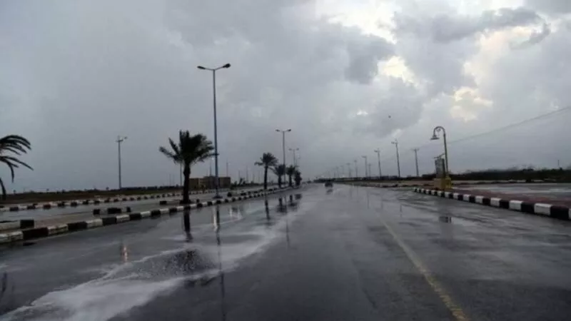 شبورة كثيفة.. الأرصاد تحذر وتكشف تفاصيل حالة الطقس غدا الخميس 8-2-2024