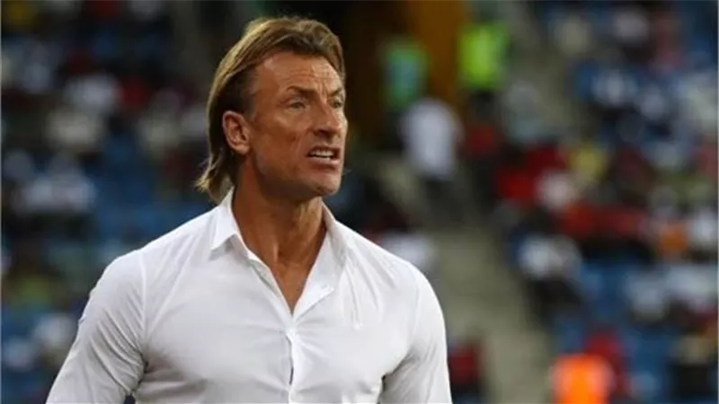 ميصحش اللي عمله.. ماذا فعل هيرفي رينارد ردا على تدريب منتخب مصر؟