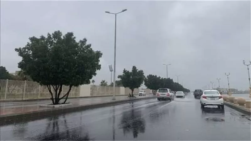 الأرصاد تكشف حالة الطقس غدا الجمعة 23-2-2024