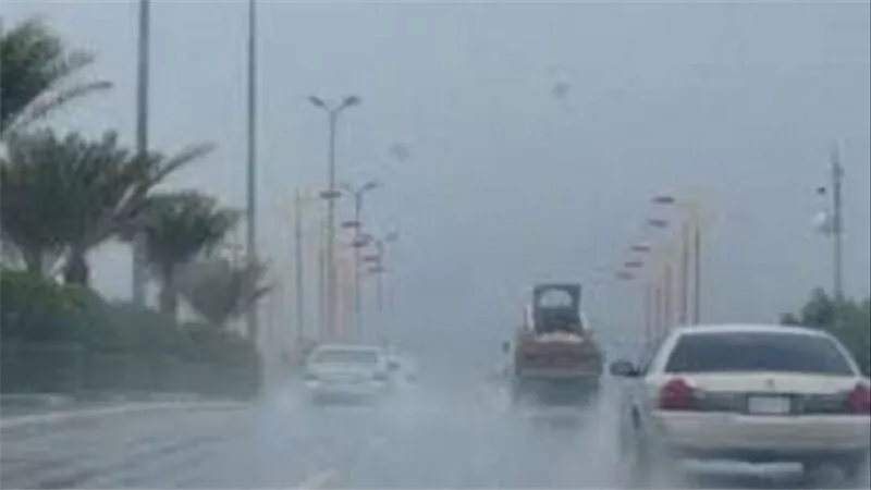 شبورة وأمطار.. الأرصاد تحذر من حالة الطقس غدا الإثنين 26-2-2024