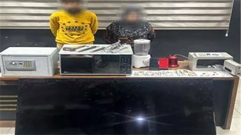 الخادمة والعشيق.. تفاصيل مثيرة عن سرقات الأثرياء بالشيخ زايد