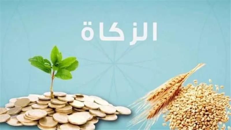 الإفتاء تكشف.. زكاة الفطر 2024 قيمتها وشروطها ولمن تعطى