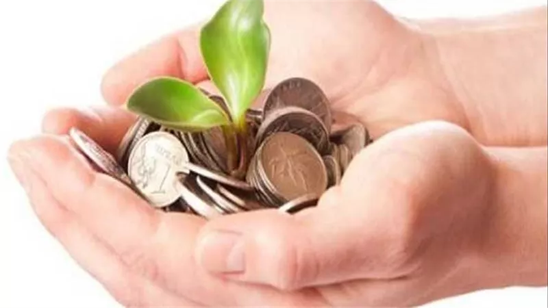 الإفتاء تجيب.. ما حكم إخراج الزكاة بالتقسيط على مدار العام؟