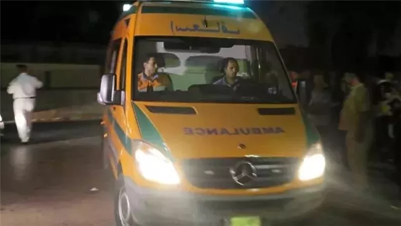 جريمة هزت مصر.. القصة الكاملة لتخلص شاب من والدته حرقا بالغربية