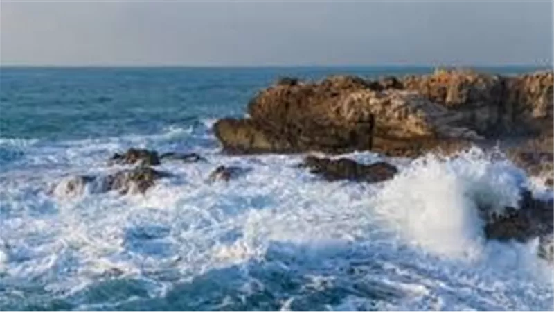 الجثة اختفت 3 أيام والقدر أنقذ شقيقه.. ماذا حدث لصياد الإسكندرية؟