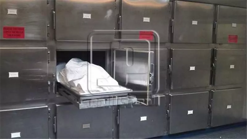 تسلل ليلًا.. تفاصيل صادمة في مقتل ربة منزل على يد عاطل بشبرا الخيمة 