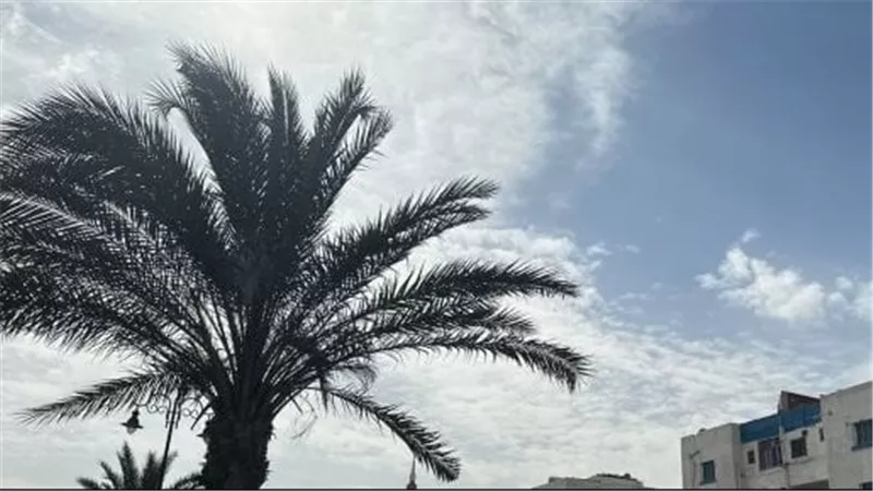 حرارة ورياح وفرص أمطار.. الأرصاد تحذر من حالة الطقس غدا الأحد 12-5-2024