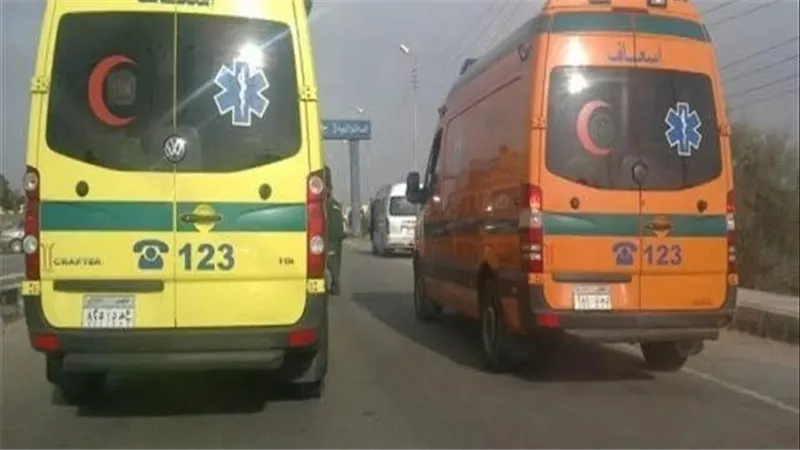 مأساة في عين شمس.. سيارة طائشة تقتل أمًا وطفليها بحادث مُروع