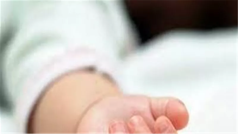 تفاصيل مثيرة..القصة الكاملة لسقوط مافيا ترويج أطفال السفاح بالغربية 