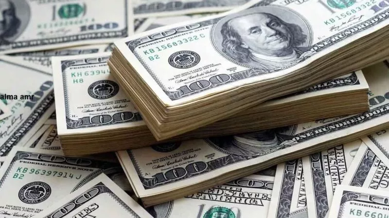 سعر الدولار اليوم الخميس 25 ابريل 2024