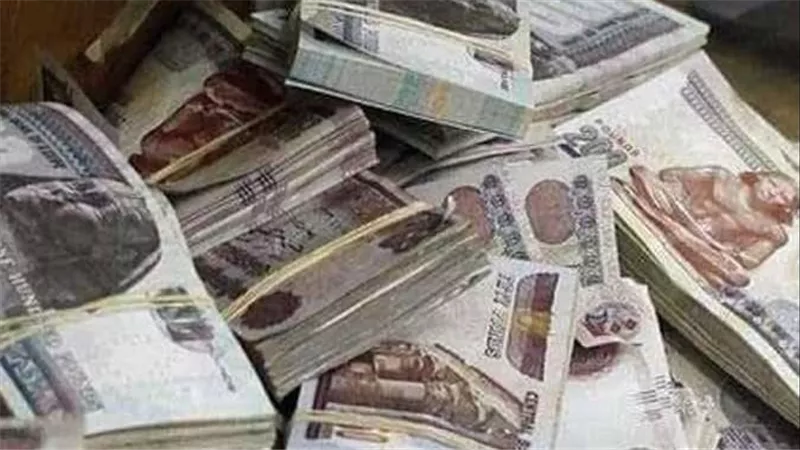 الرابط والتفاصيل.. الاستعلام عن معاش تكافل وكرامة لشهر يوليو 2024