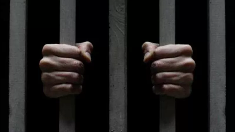 قتل شقيقه ومزق والدته وأخويه.. ماذا حدث في عزبة الناموس بالقليوبية؟